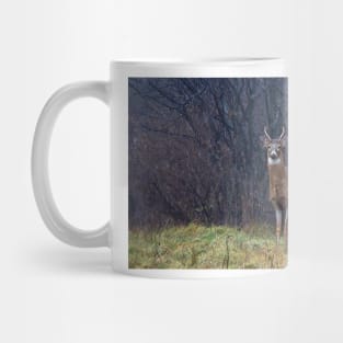 Young Buck in Snow Mug